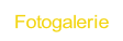 Fotogalerie.